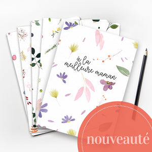 Ensemble de 5 petits carnets de notes