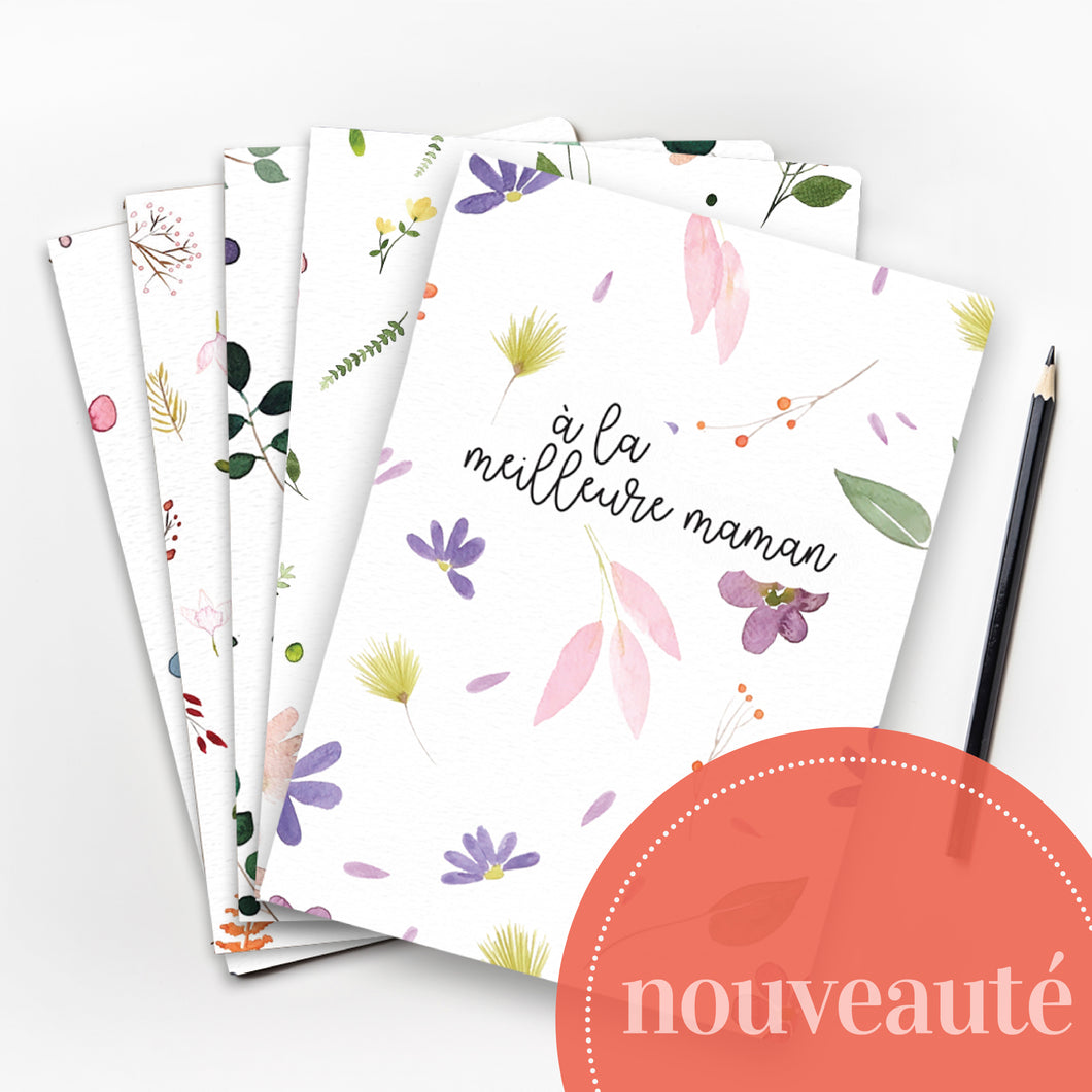 Ensemble de 5 petits carnets de notes