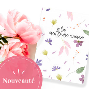 Nouveaux petits carnet de notes | 4 couvertures disponibles